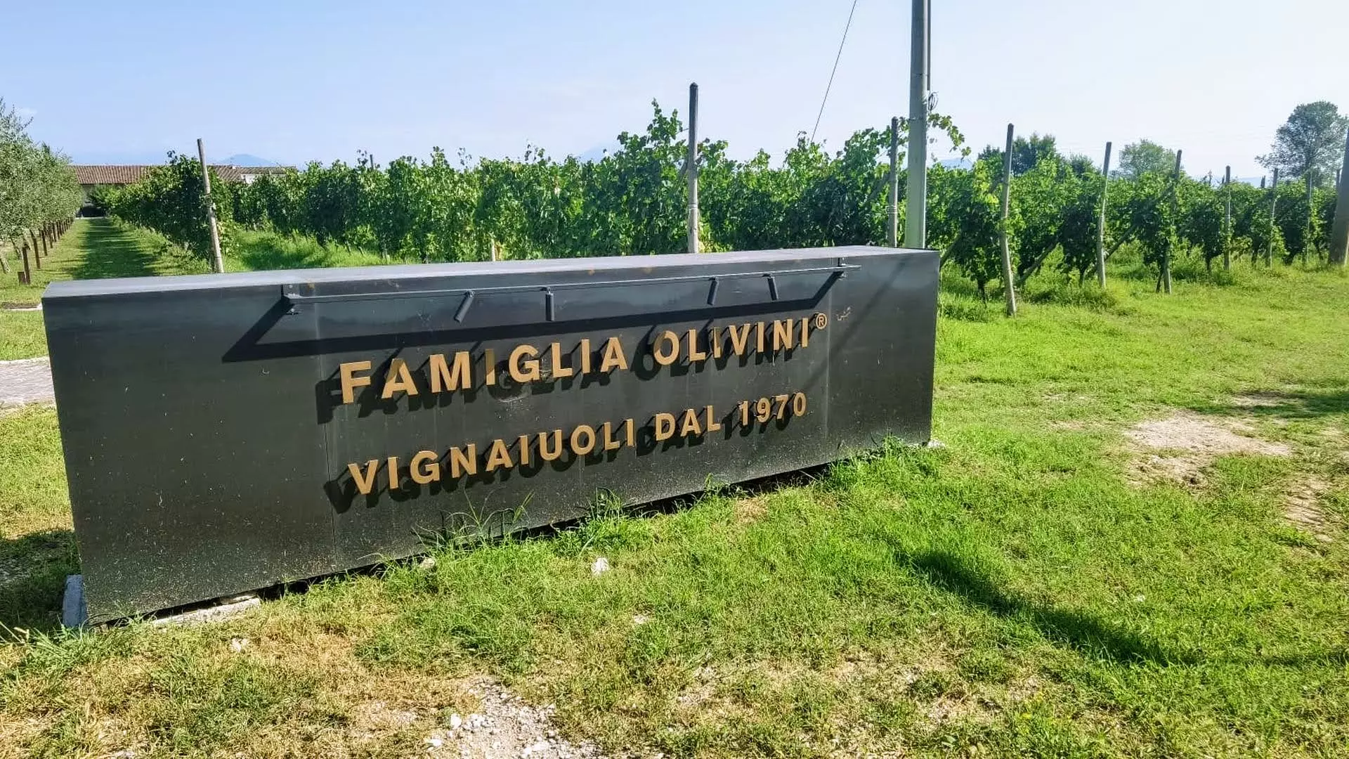 Famiglia Olivini: Lugana Stories