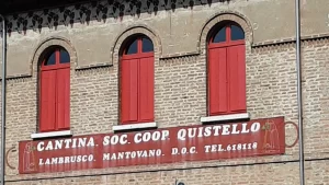 Il Lambrusco Mantovano, tra cantine sociali e biodinamica