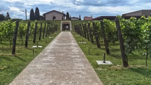 L’inaugurazione della nuova cantina Lunae