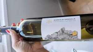 Magia a Firenze:  Golden View Open Bar 