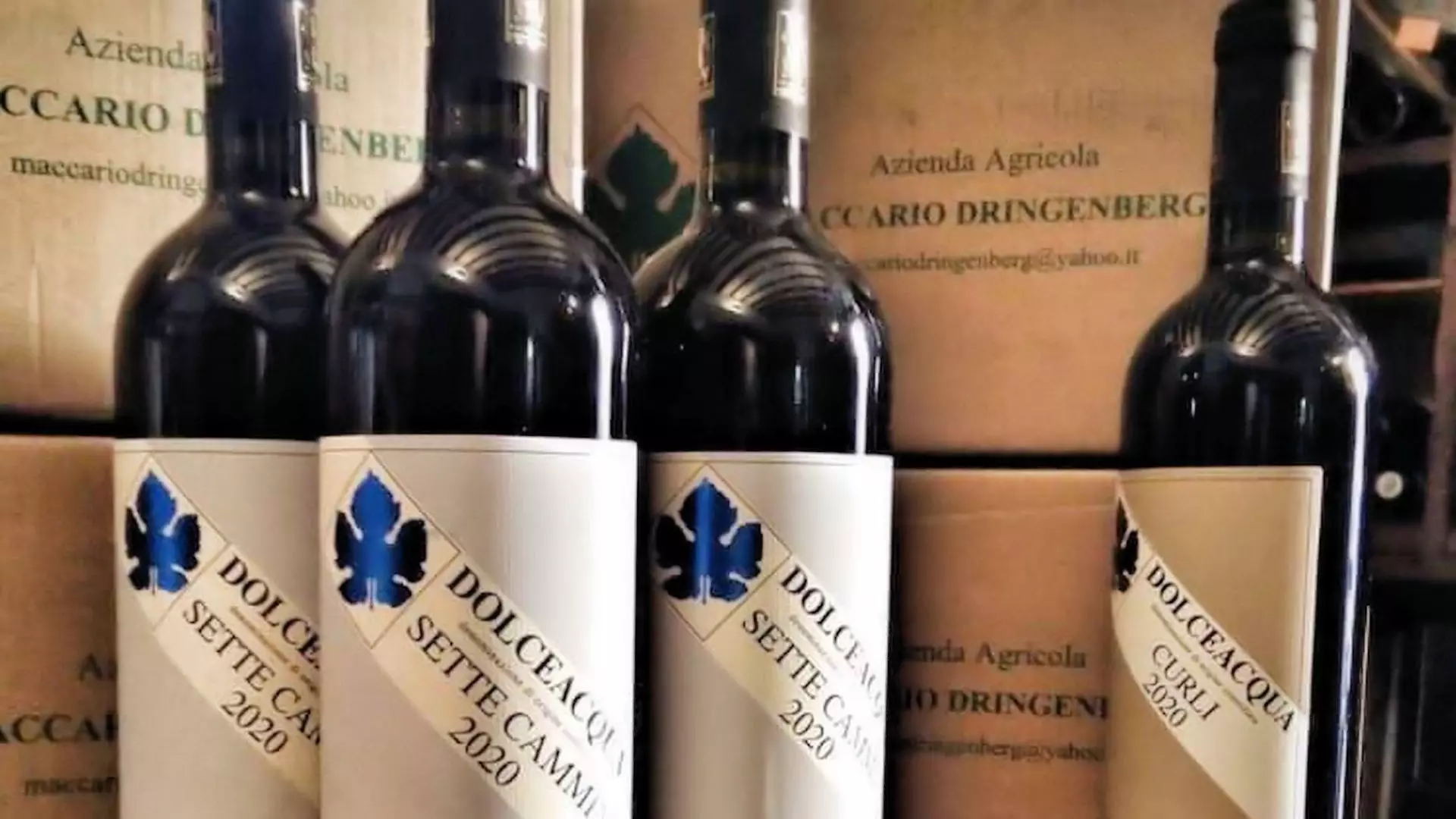 Sette Cammini: il nuovo Cru di Giovanna Maccario