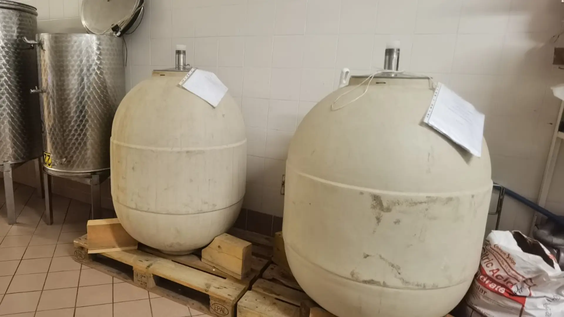 Viaggio nel mondo dell’anfora: la Liguria parte terza