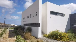 Visita alla Cantina Vassaltis