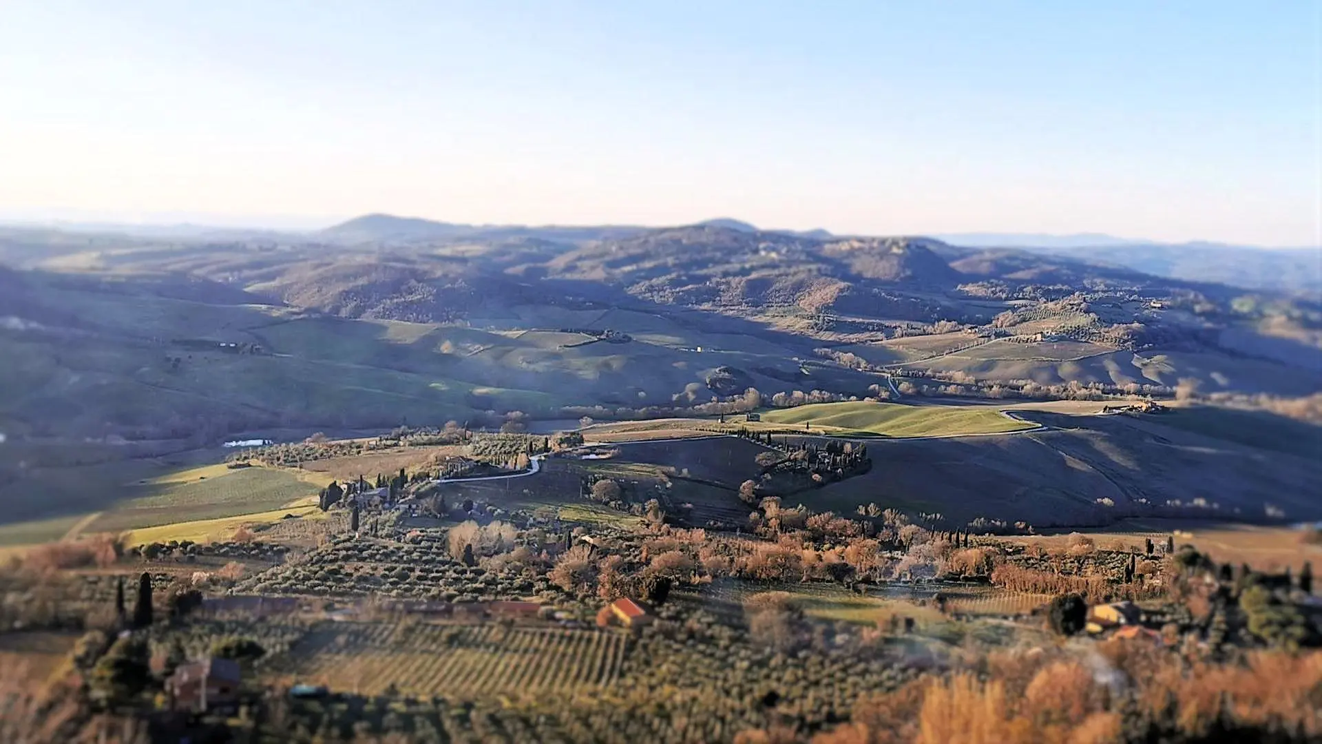 Anteprima del Vino Nobile di Montepulciano 2020