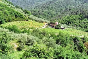 Azienda Agricola Casa del Diavolo