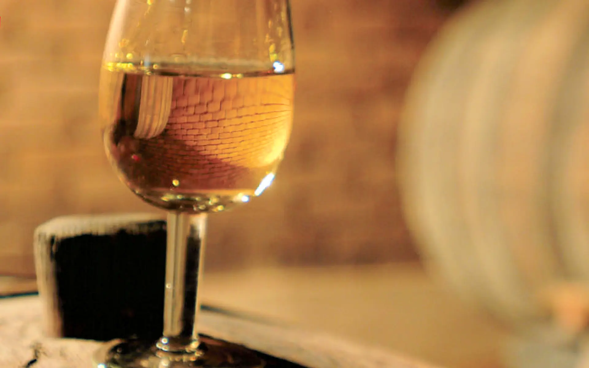 Viaggio nella terra che ha dato i Natali al vino: la Georgia