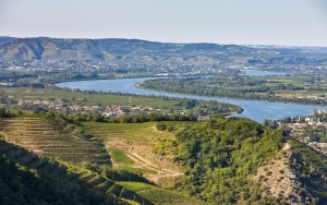 I grandi vini della Provenza