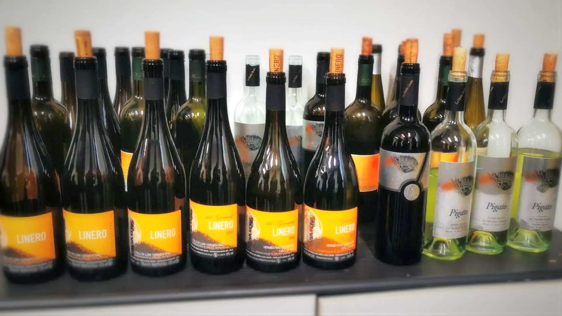 Il vino come espressione d'arte e la maestria dei prodotti DOP della Liguria