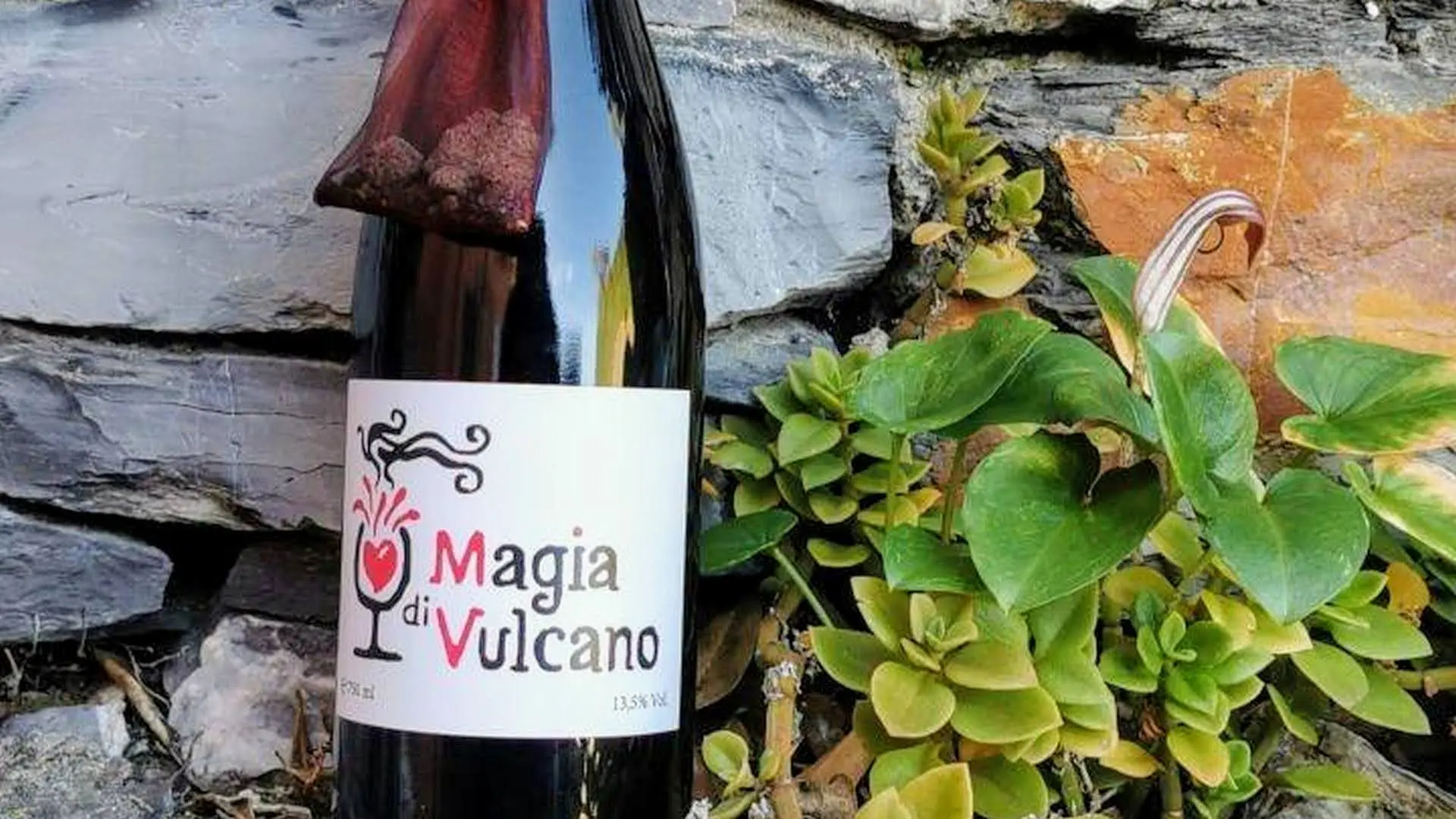 Magia di Vulcano: un vino da scoprire