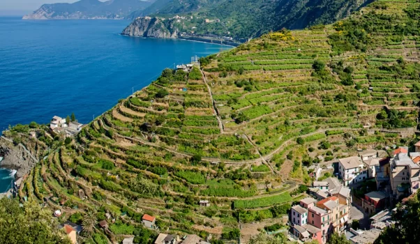 Vino ligure e dintorni: pensieri e parole