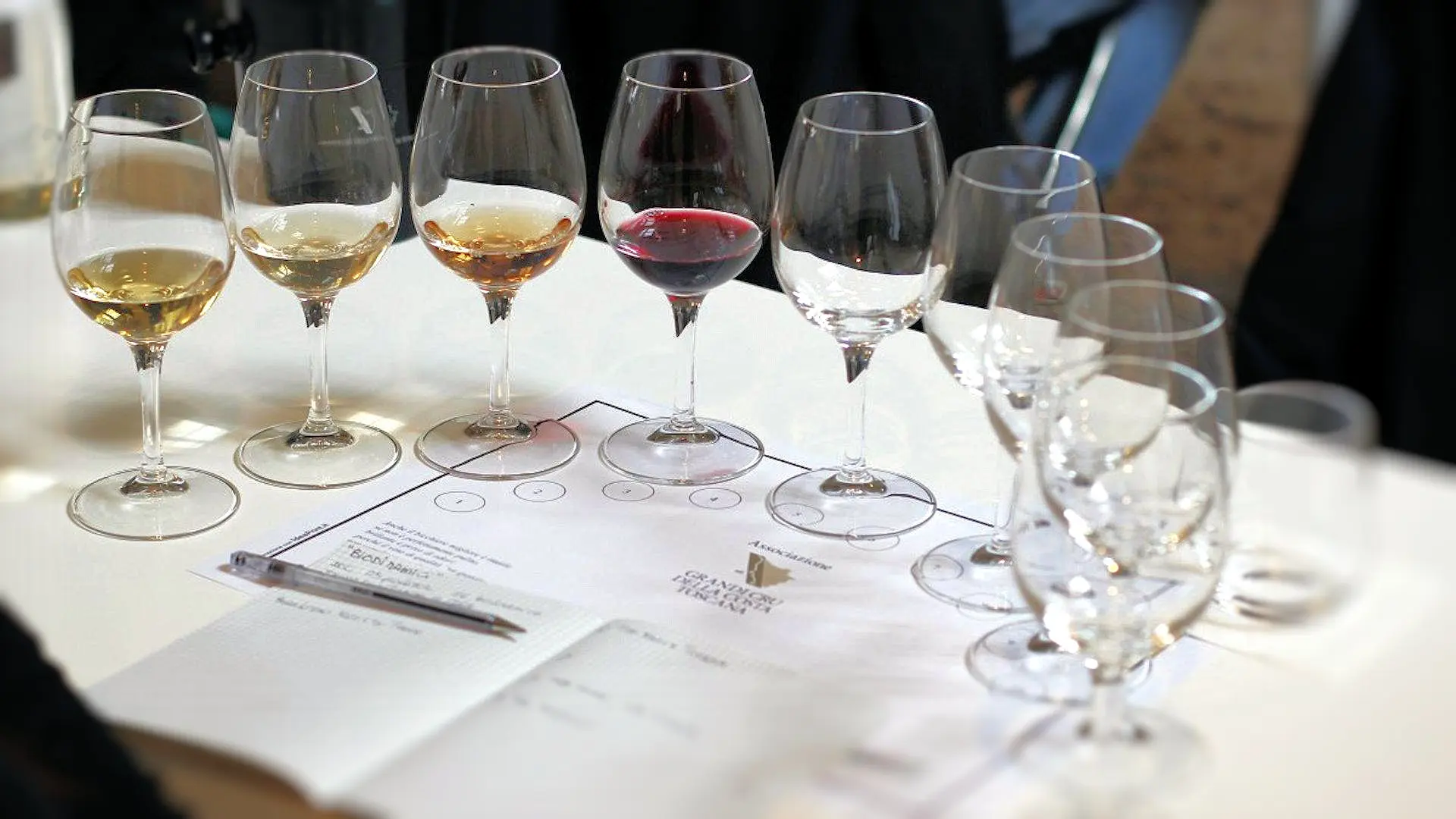 Anteprima vini della Costa Toscana 2019