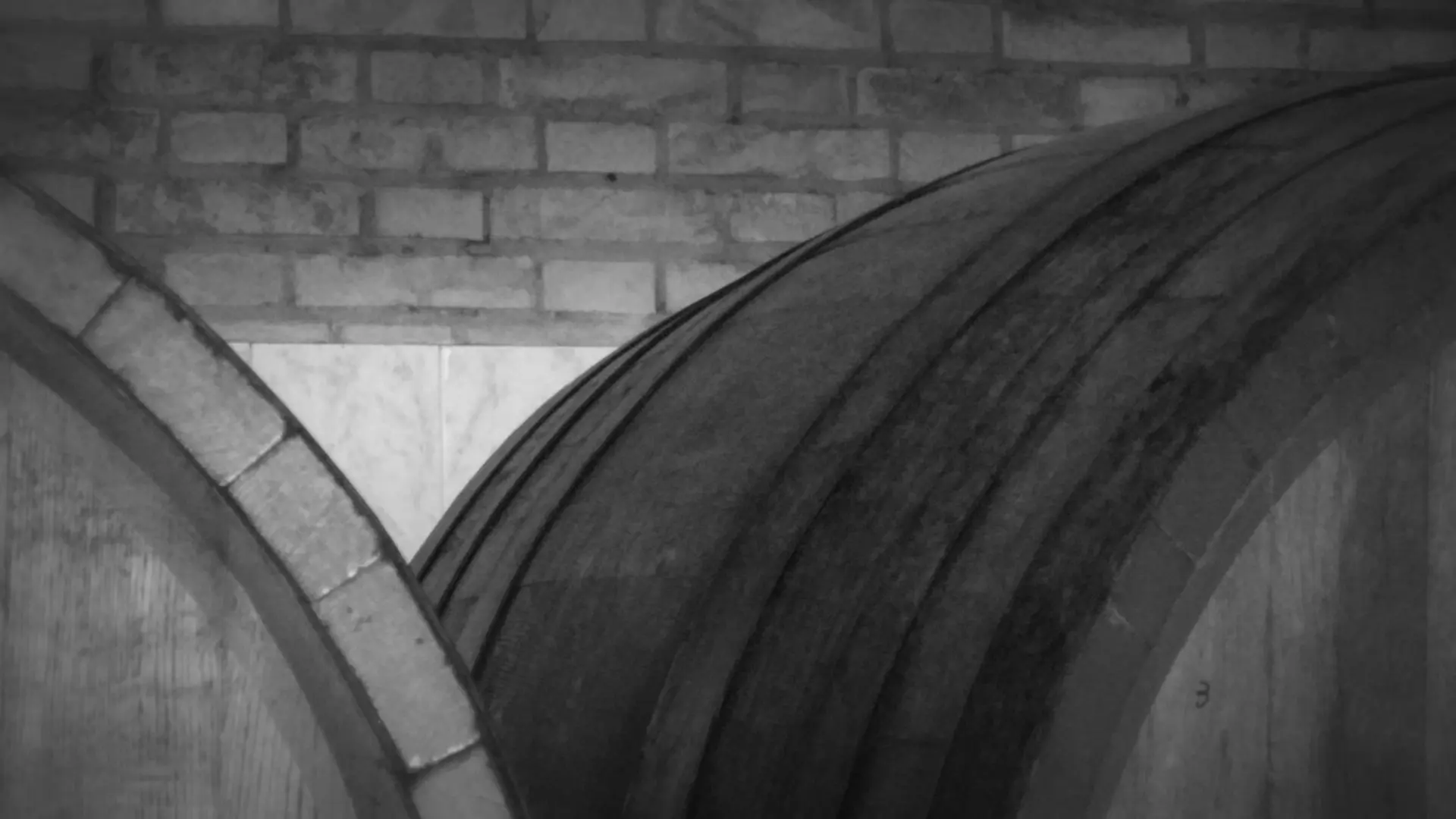 Filiblù 2009 Baraccone