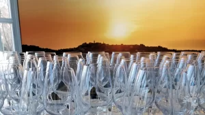 Le Langhe nel bicchiere