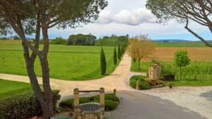 Le Terre dei Cavalieri