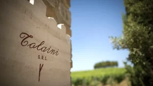Sangiovese... e dintorni · Tolaini Siena