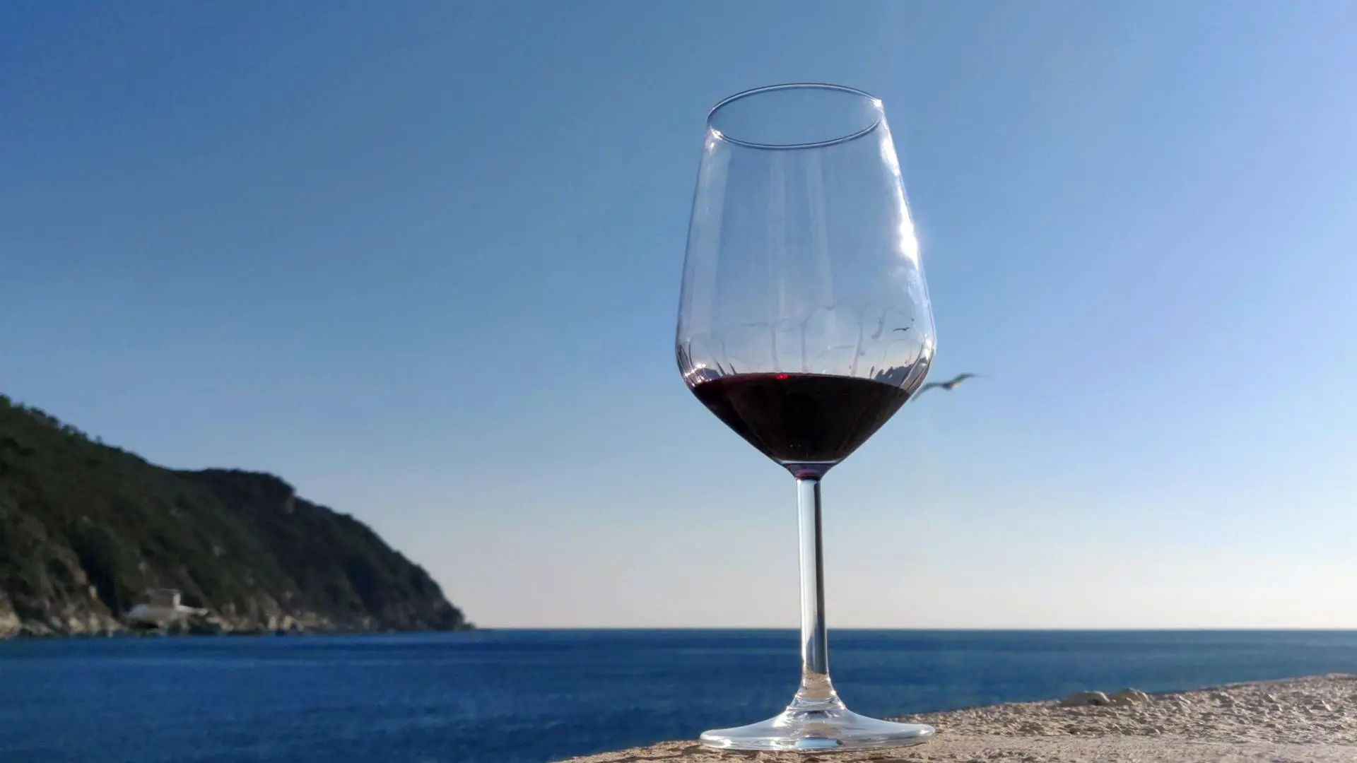 The Wine Revolution 2018