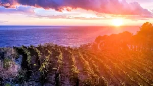 Un territorio da scoprire · DOC Colline di Levanto