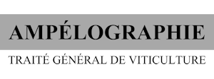 ampelographie