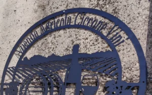 Montonico, antico vitigno abruzzese di montagna