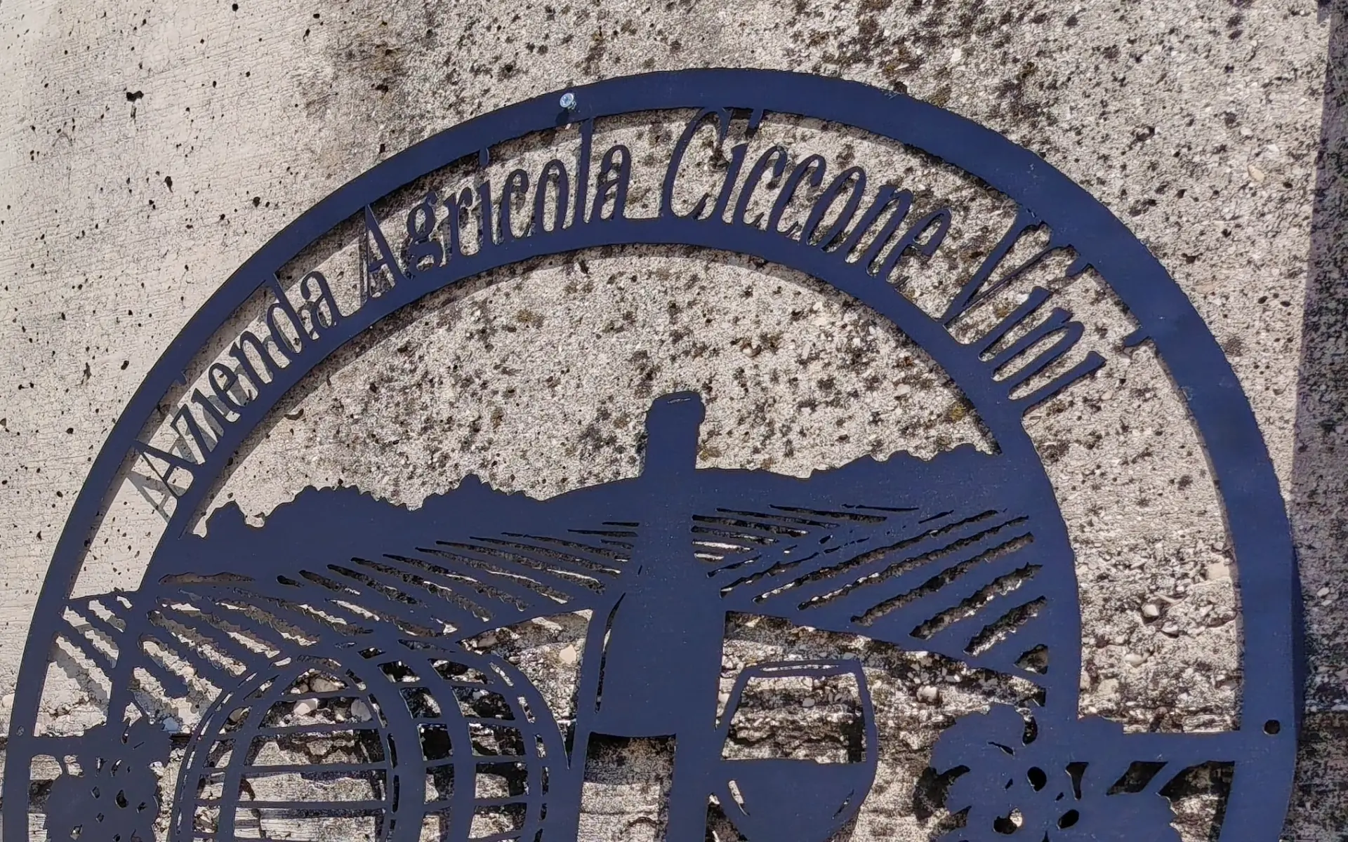 Montonico, antico vitigno abruzzese di montagna