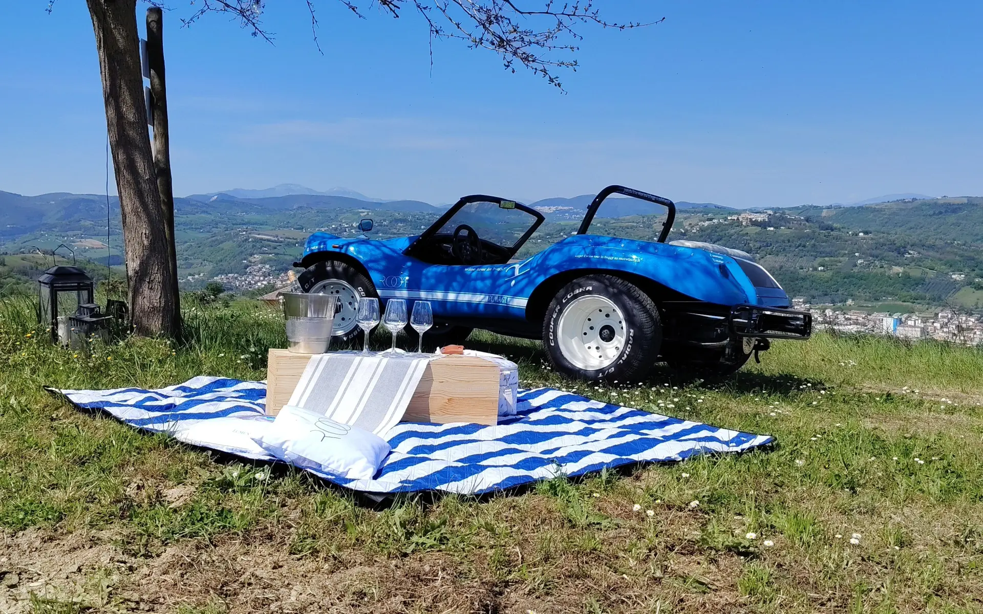 Root Winery: innovazione, arte e leggerezza nel cuore dei Castelli di Jesi