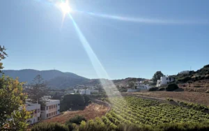 A spasso per il Dodecaneso: Nico Grylli Winery