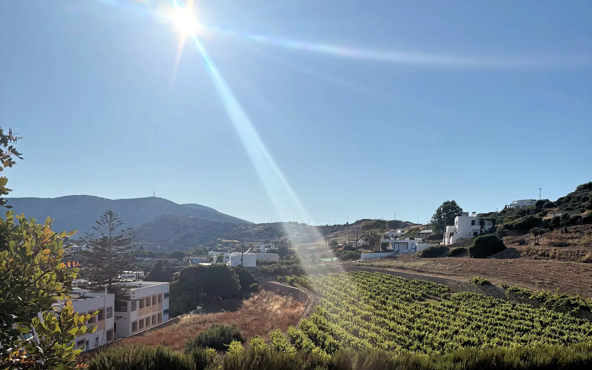 A spasso per il Dodecaneso: Nico Grylli Winery
