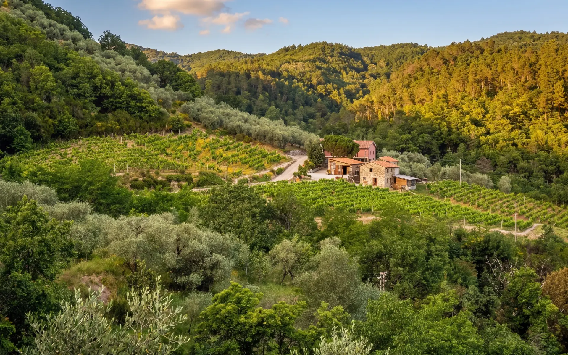 Azienda Agricola Casa del Diavolo