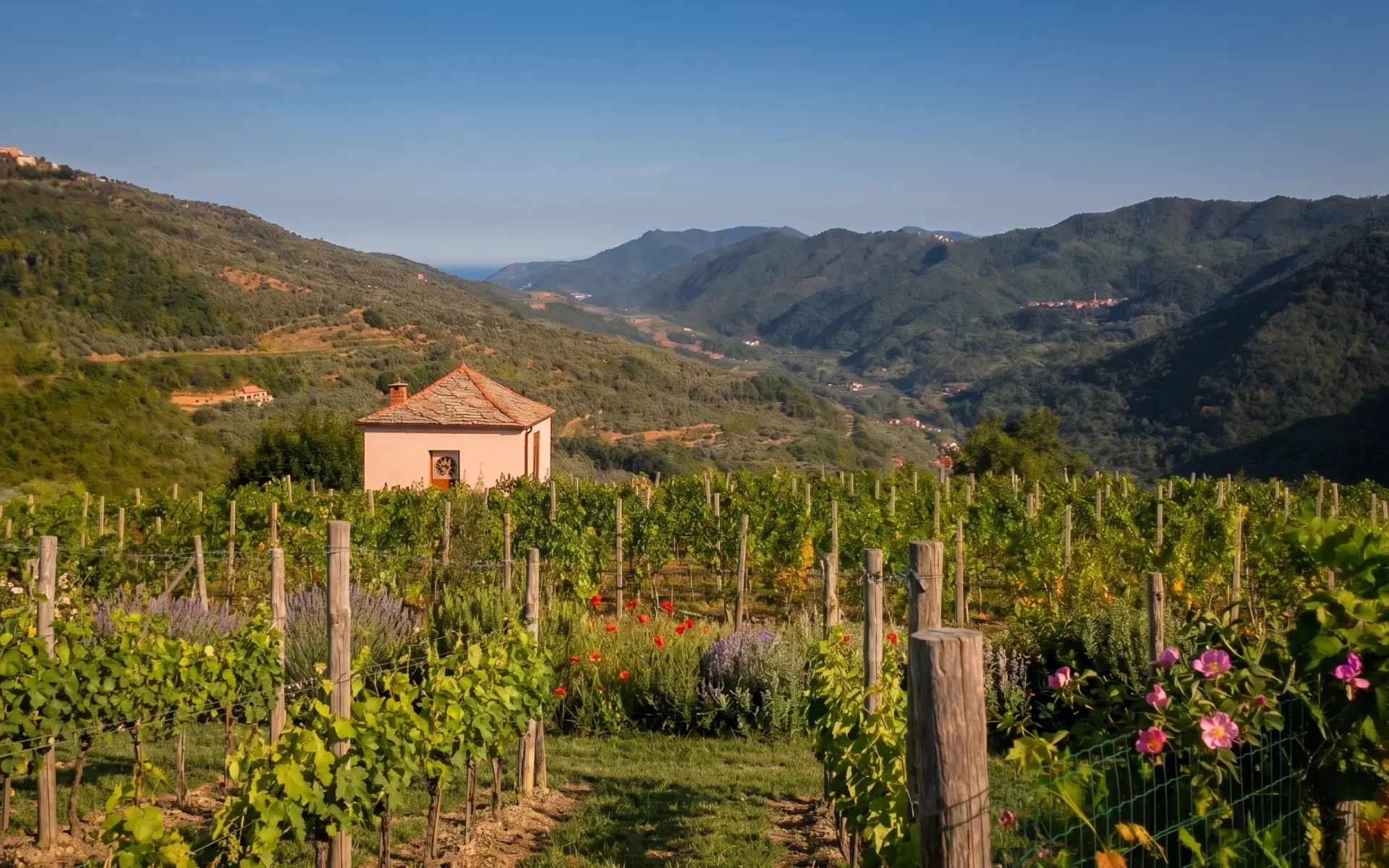 Azienda Massimo Alessandri