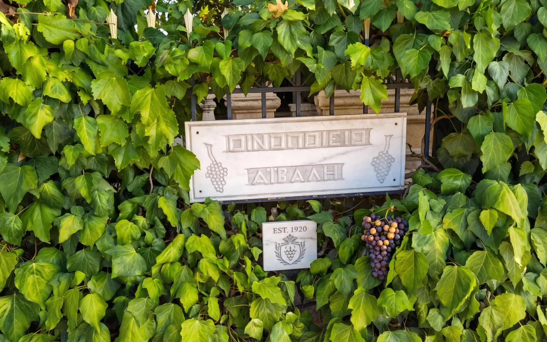 Domaine Aivalis