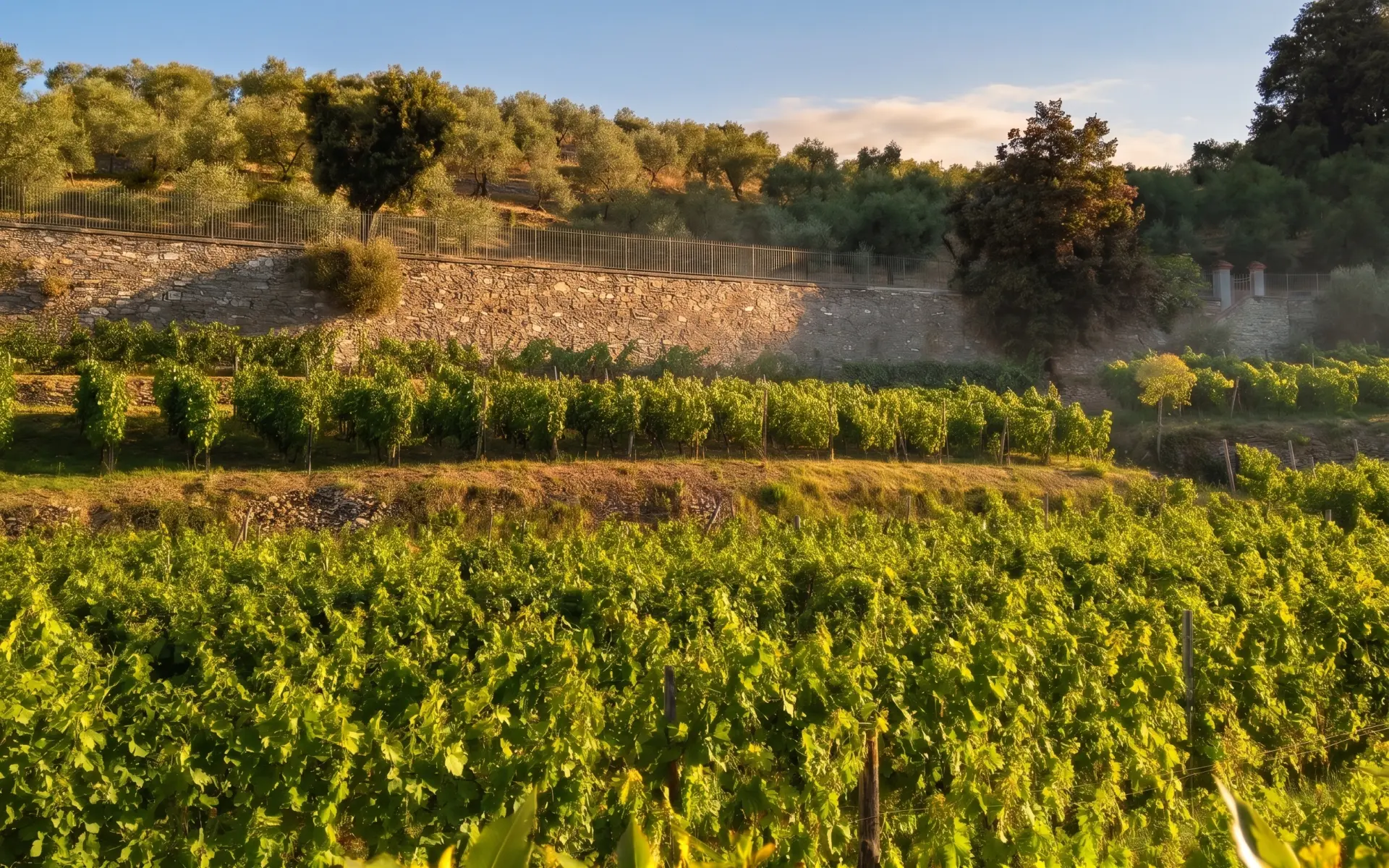 E Prie · Azienda Agricola San Nicola