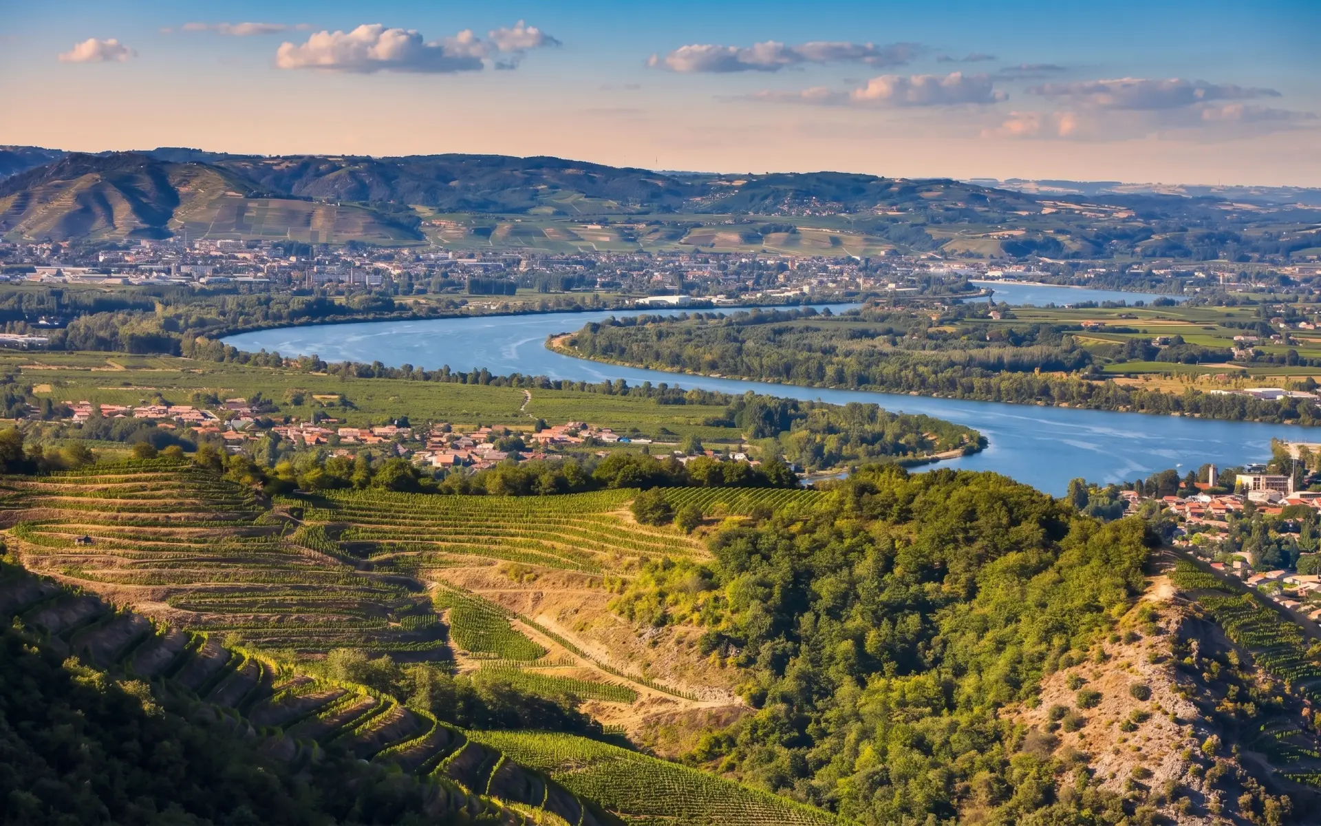 I grandi vini della Provenza