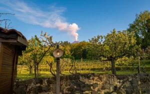 I Vini dell'Etna