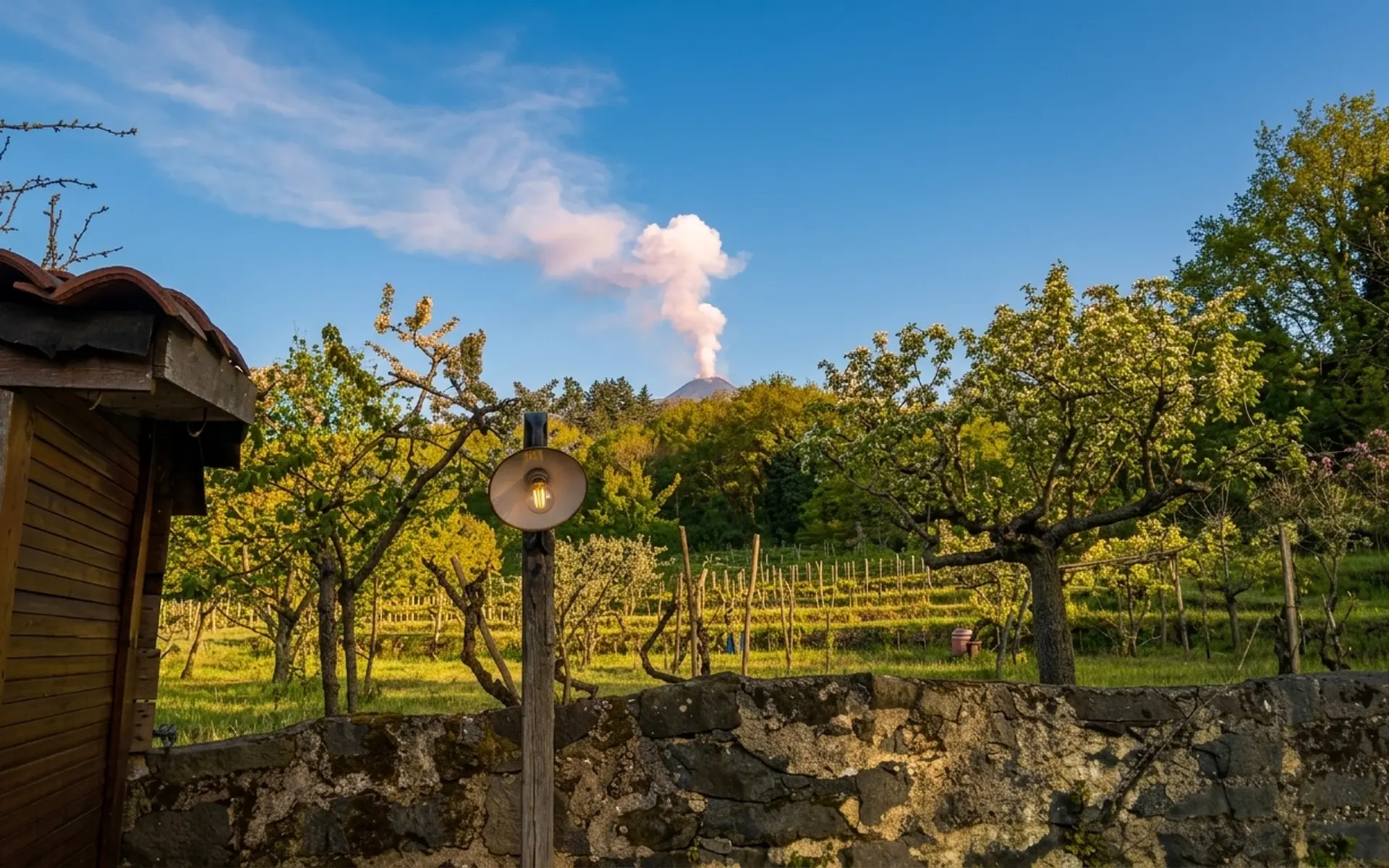 I Vini dell’Etna