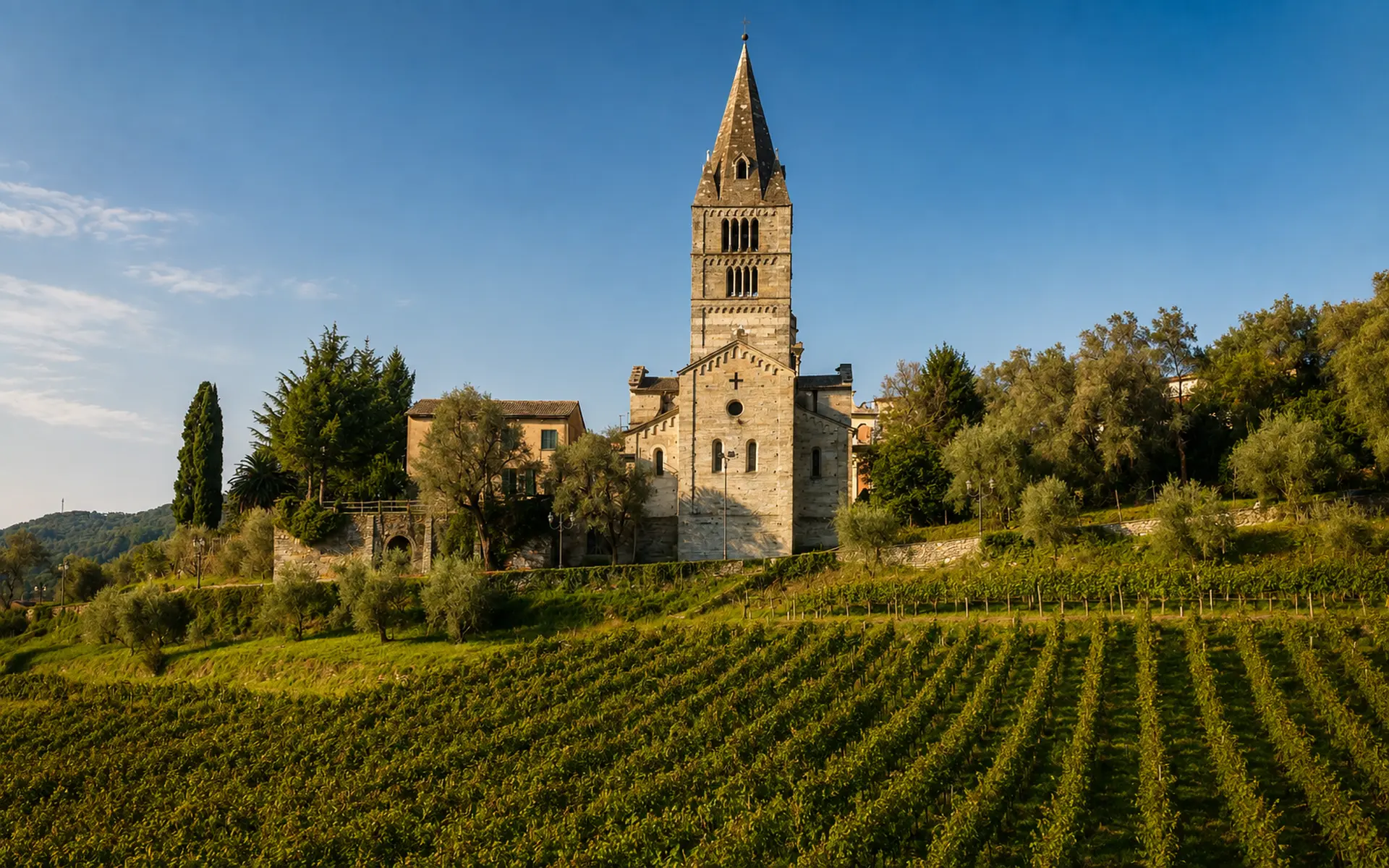 Azienda Agricola La Ricolla