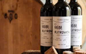 La vigna ritrovata