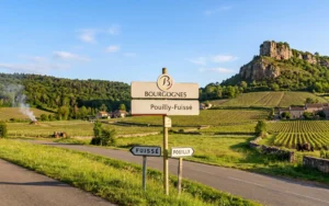 AOC Pouilly-Fuissé  · Un tesoro della Borgogna