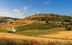 Ribera del Duero · Il miracolo enologico della Spagna settentrionale