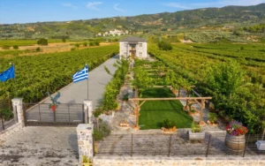 Viaggio in Nemea: Ieropoulos Winery