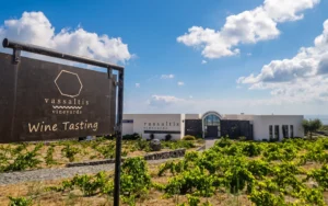 Visita alla Cantina Vassaltis