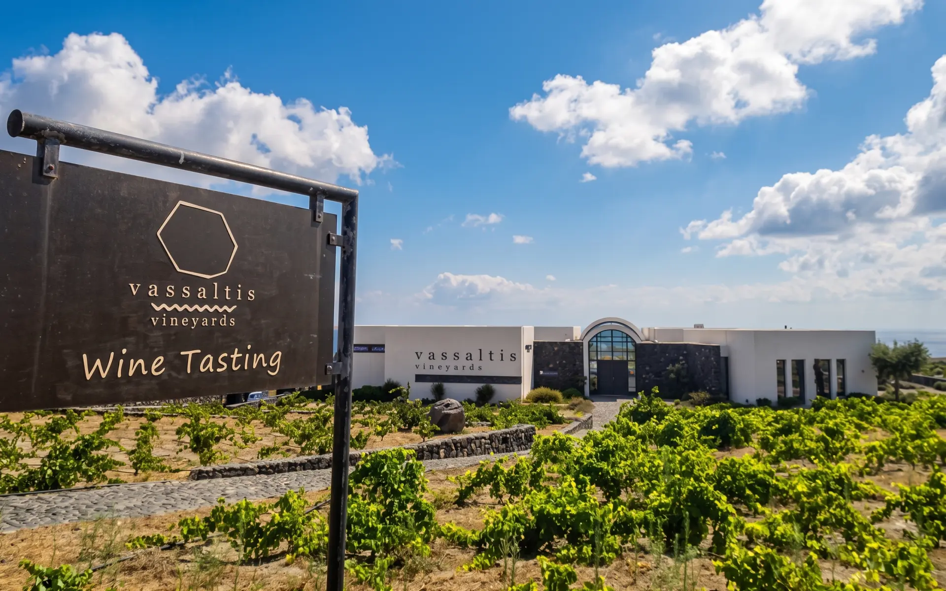 Visita alla Cantina Vassaltis