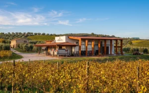 A MWF Cantina Marchesi De’ Cordano di Loreto Aprutino