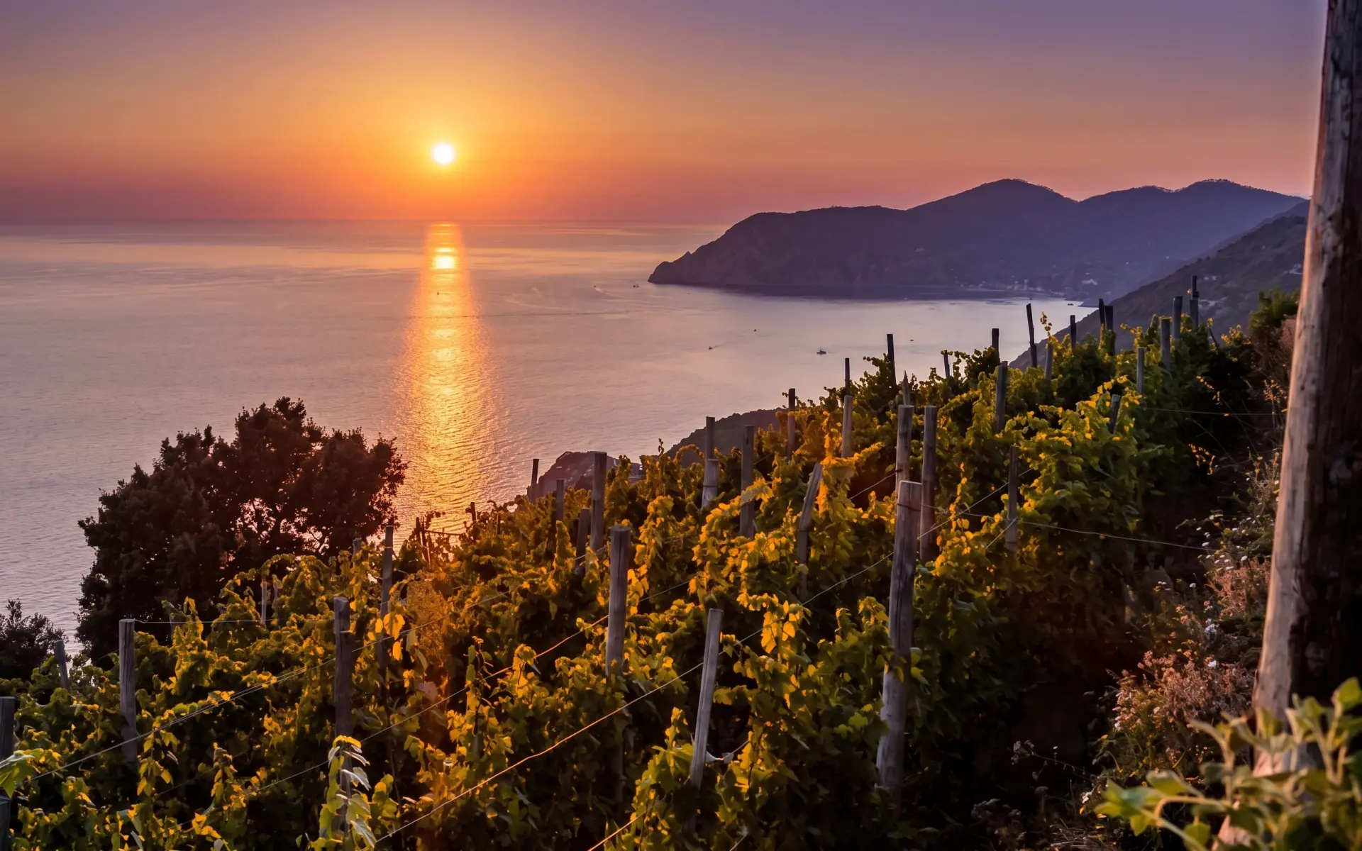 Agrivino Experiences