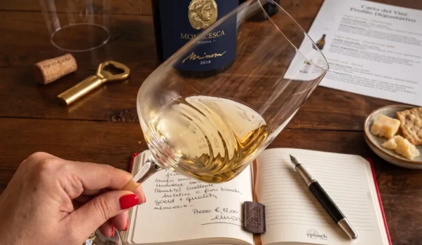 Il Verdicchio di Matelica de La Monacesca