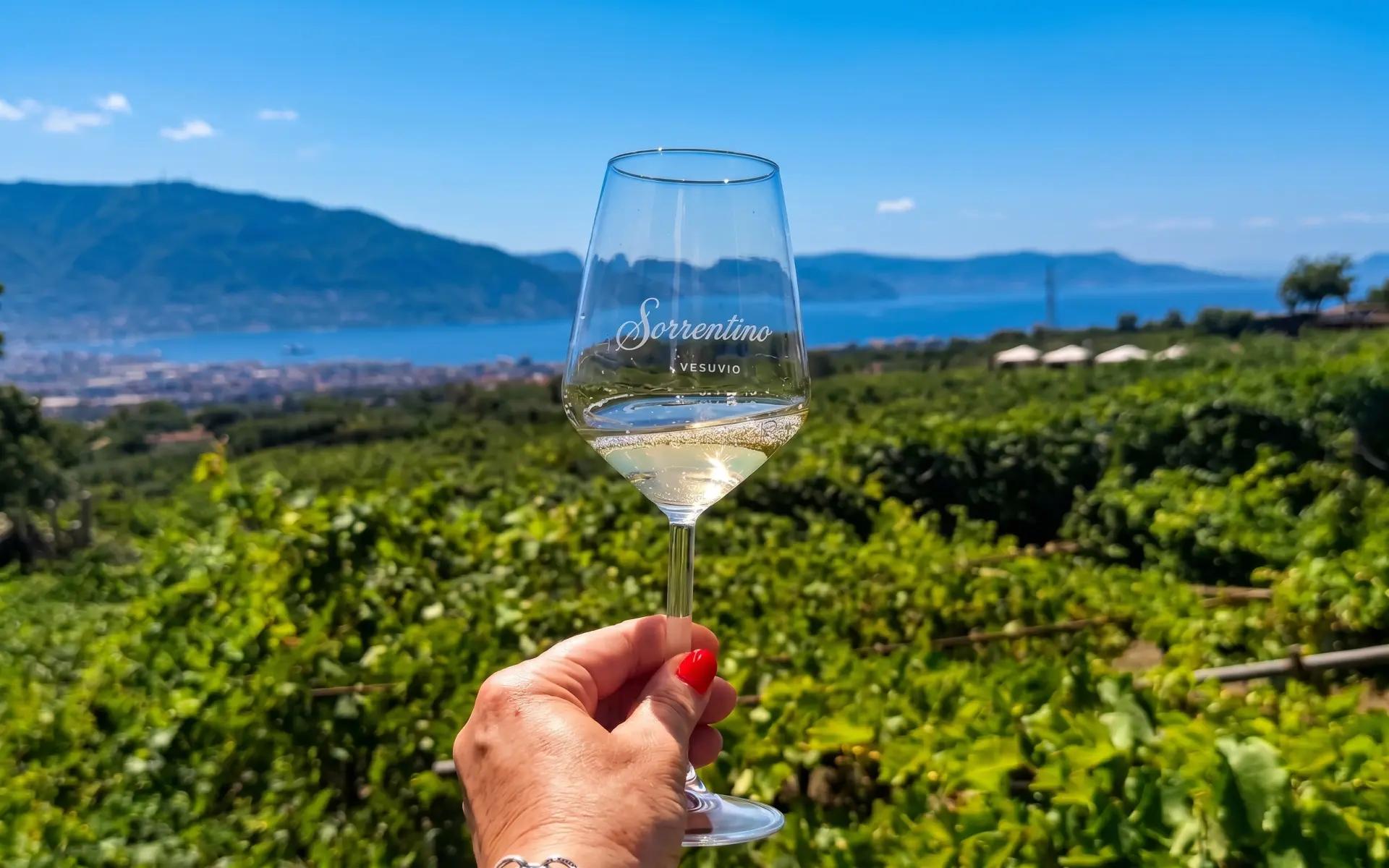 Sorrentino Vini