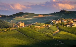 Azienda Agricola Brezza · Barolo