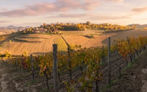 Azienda Agricola Daglio