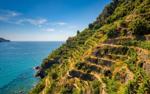 Azienda Possa a Riomaggiore