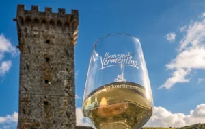 Benvenuto Vermentino 2019 Castelnuovo Magra