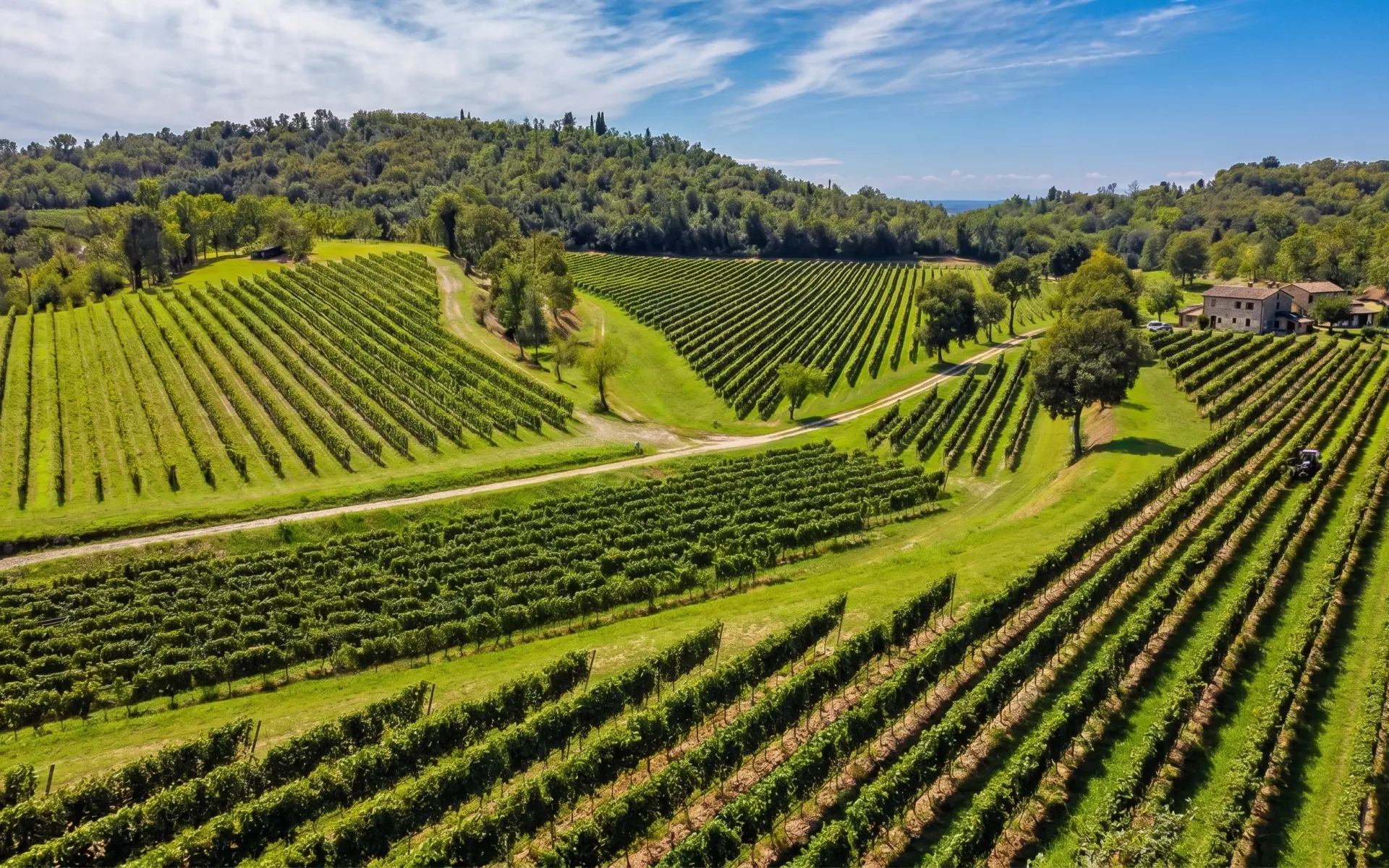 Cantine Scolari, incontro tra tradizione e qualità